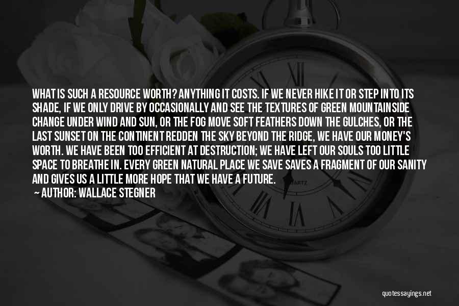 Wallace Stegner Quotes: What Is Such A Resource Worth? Anything It Costs. If We Never Hike It Or Step Into Its Shade, If