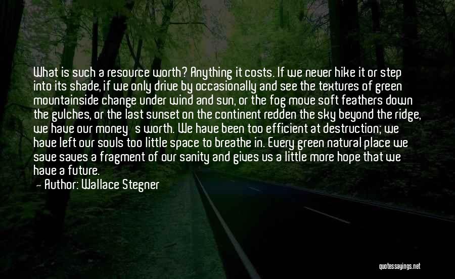 Wallace Stegner Quotes: What Is Such A Resource Worth? Anything It Costs. If We Never Hike It Or Step Into Its Shade, If