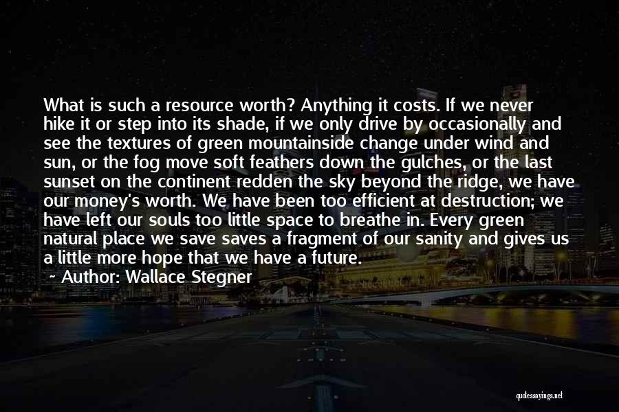 Wallace Stegner Quotes: What Is Such A Resource Worth? Anything It Costs. If We Never Hike It Or Step Into Its Shade, If