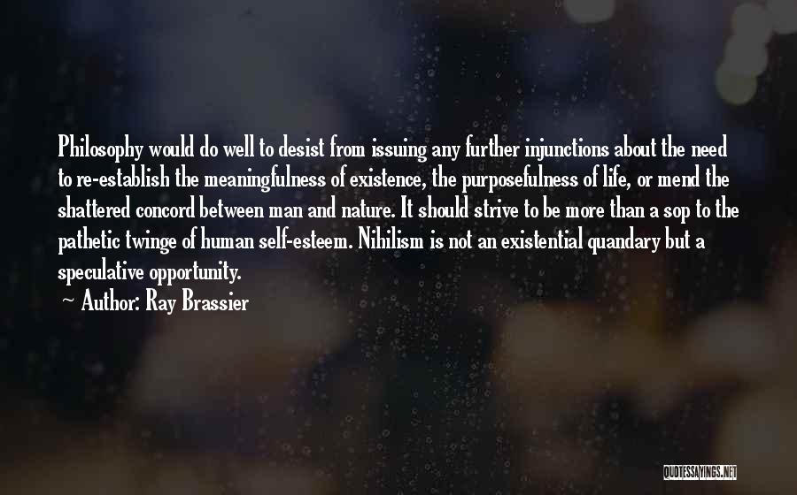 Ray Brassier Quotes: Philosophy Would Do Well To Desist From Issuing Any Further Injunctions About The Need To Re-establish The Meaningfulness Of Existence,