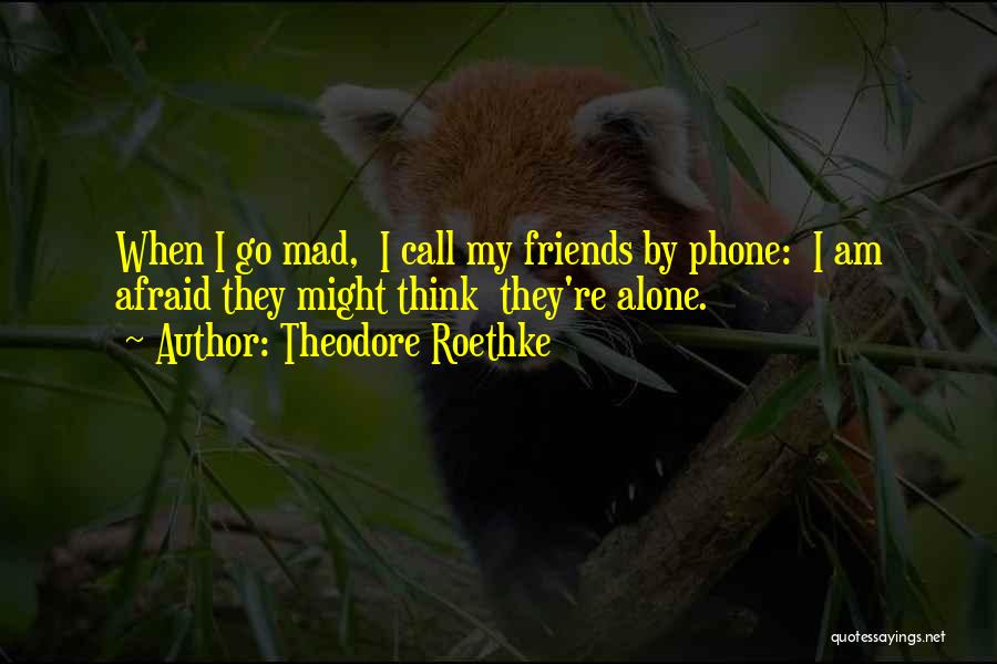 Theodore Roethke Quotes: When I Go Mad, I Call My Friends By Phone: I Am Afraid They Might Think They're Alone.