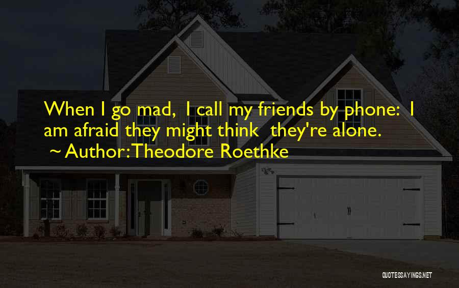 Theodore Roethke Quotes: When I Go Mad, I Call My Friends By Phone: I Am Afraid They Might Think They're Alone.