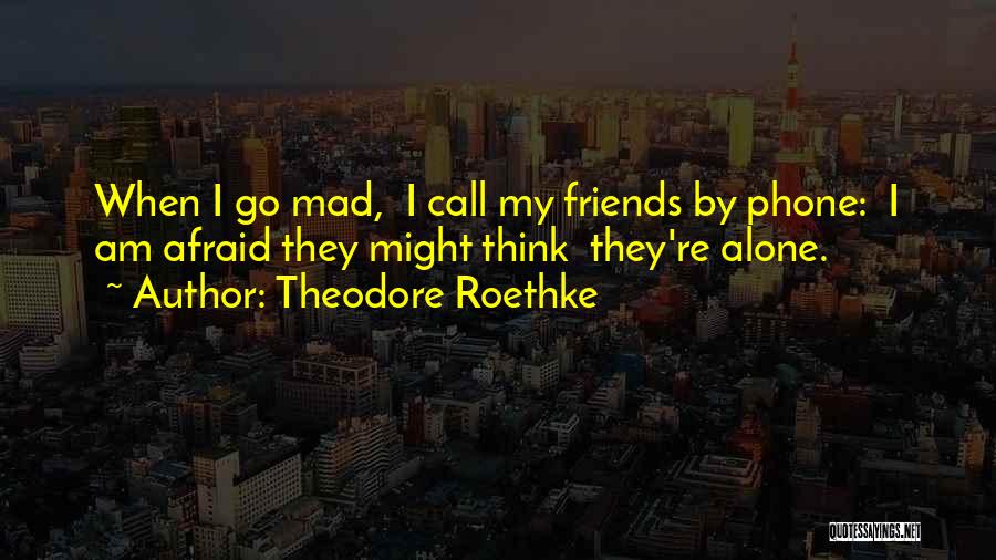 Theodore Roethke Quotes: When I Go Mad, I Call My Friends By Phone: I Am Afraid They Might Think They're Alone.