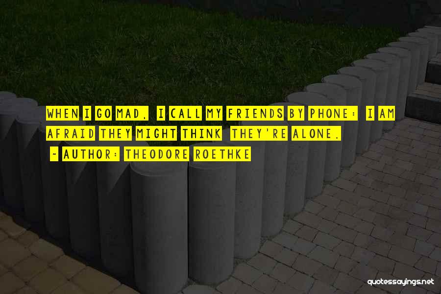 Theodore Roethke Quotes: When I Go Mad, I Call My Friends By Phone: I Am Afraid They Might Think They're Alone.