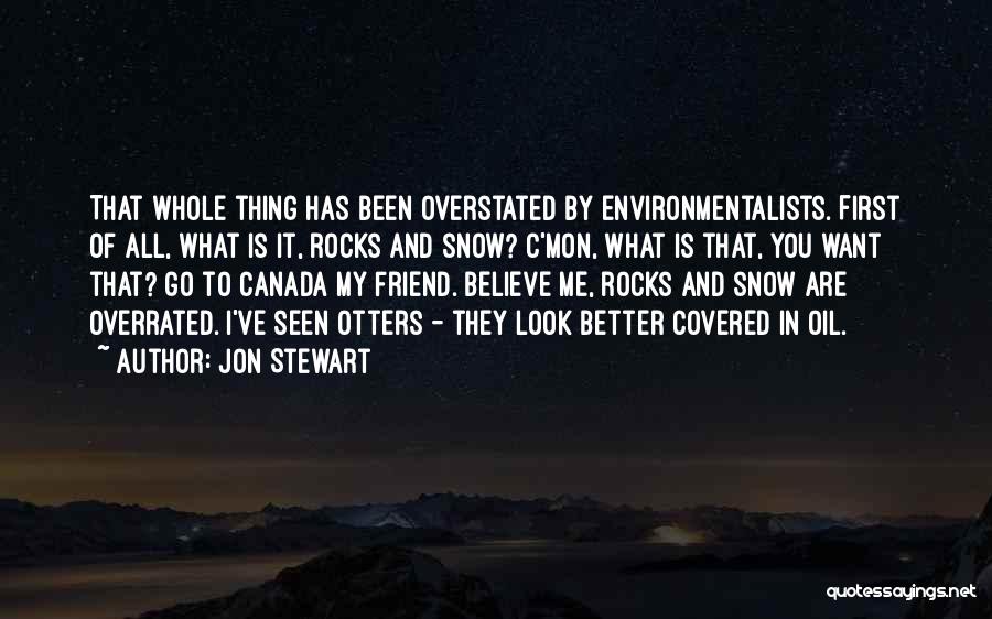 Jon Stewart Quotes: That Whole Thing Has Been Overstated By Environmentalists. First Of All, What Is It, Rocks And Snow? C'mon, What Is