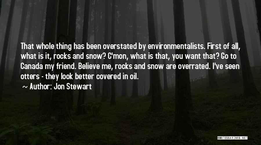 Jon Stewart Quotes: That Whole Thing Has Been Overstated By Environmentalists. First Of All, What Is It, Rocks And Snow? C'mon, What Is