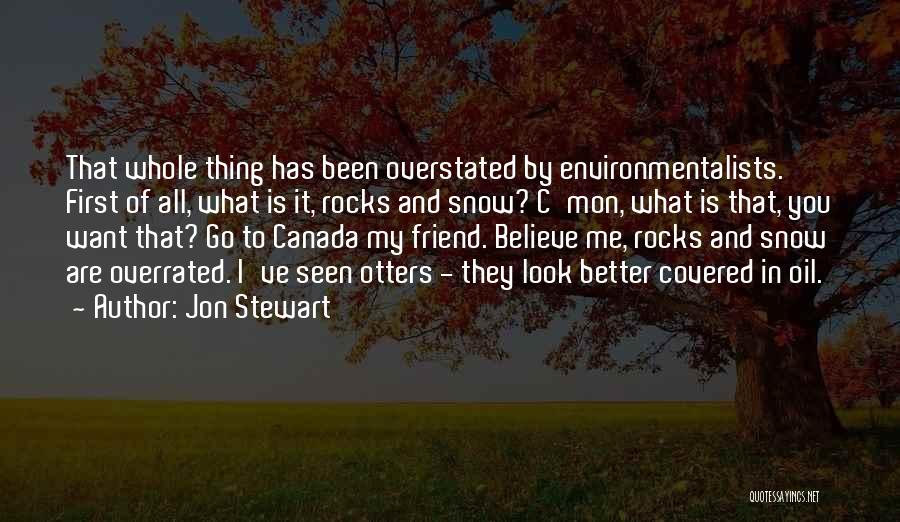 Jon Stewart Quotes: That Whole Thing Has Been Overstated By Environmentalists. First Of All, What Is It, Rocks And Snow? C'mon, What Is