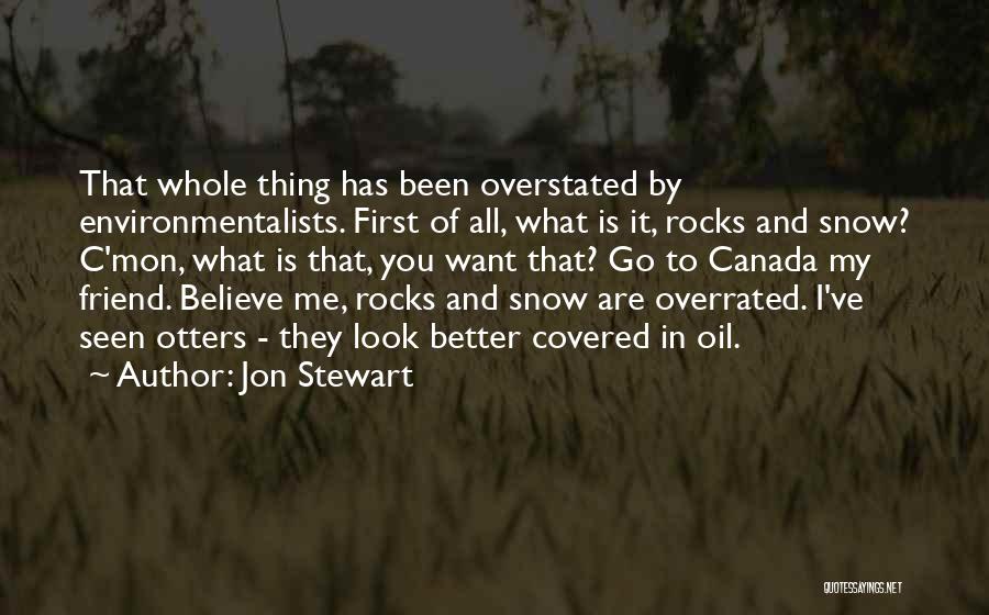 Jon Stewart Quotes: That Whole Thing Has Been Overstated By Environmentalists. First Of All, What Is It, Rocks And Snow? C'mon, What Is