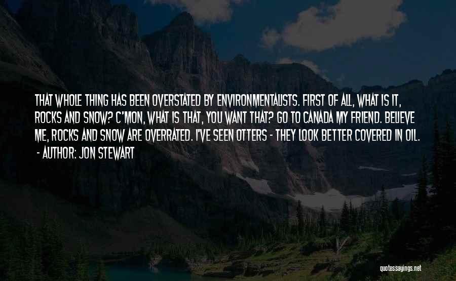 Jon Stewart Quotes: That Whole Thing Has Been Overstated By Environmentalists. First Of All, What Is It, Rocks And Snow? C'mon, What Is