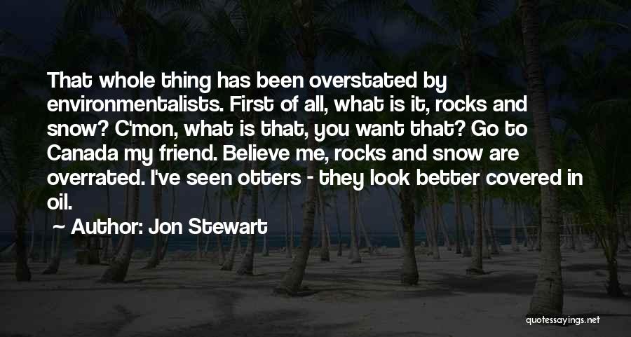 Jon Stewart Quotes: That Whole Thing Has Been Overstated By Environmentalists. First Of All, What Is It, Rocks And Snow? C'mon, What Is