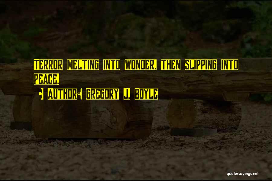 Gregory J. Boyle Quotes: Terror Melting Into Wonder, Then Slipping Into Peace.