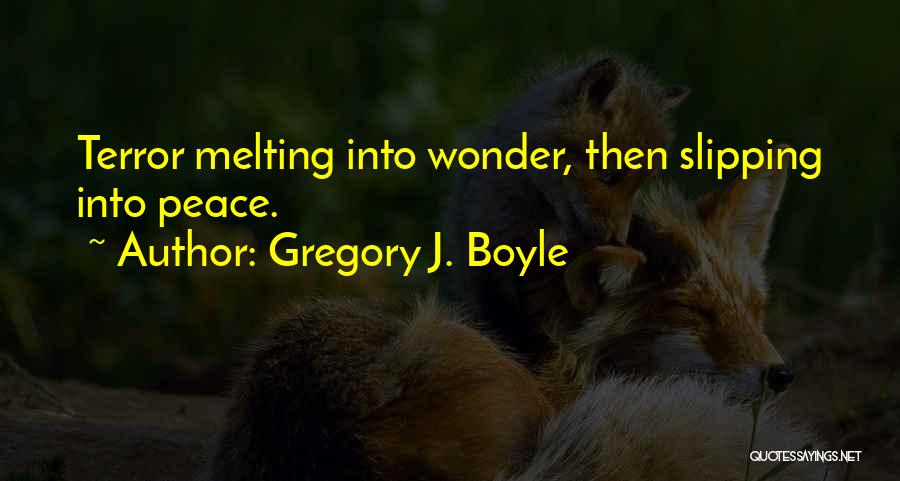 Gregory J. Boyle Quotes: Terror Melting Into Wonder, Then Slipping Into Peace.
