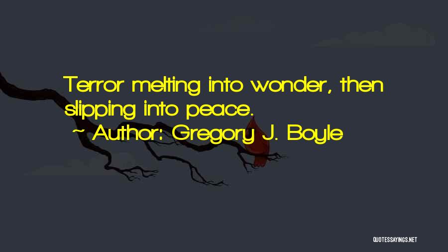 Gregory J. Boyle Quotes: Terror Melting Into Wonder, Then Slipping Into Peace.