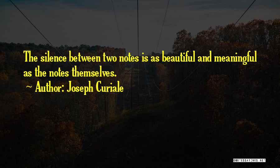 Joseph Curiale Quotes: The Silence Between Two Notes Is As Beautiful And Meaningful As The Notes Themselves.