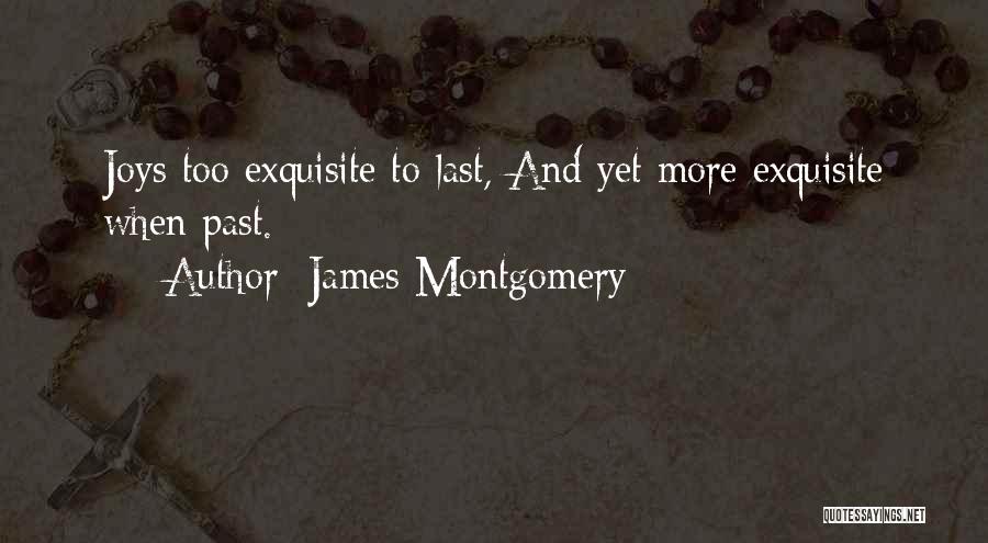 James Montgomery Quotes: Joys Too Exquisite To Last, And Yet More Exquisite When Past.