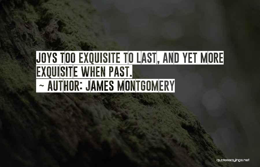 James Montgomery Quotes: Joys Too Exquisite To Last, And Yet More Exquisite When Past.