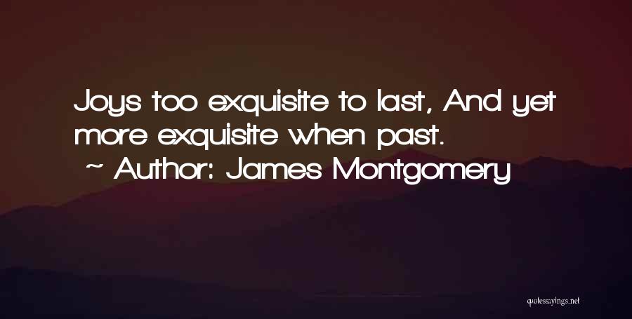 James Montgomery Quotes: Joys Too Exquisite To Last, And Yet More Exquisite When Past.