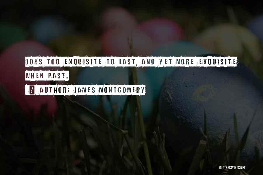 James Montgomery Quotes: Joys Too Exquisite To Last, And Yet More Exquisite When Past.
