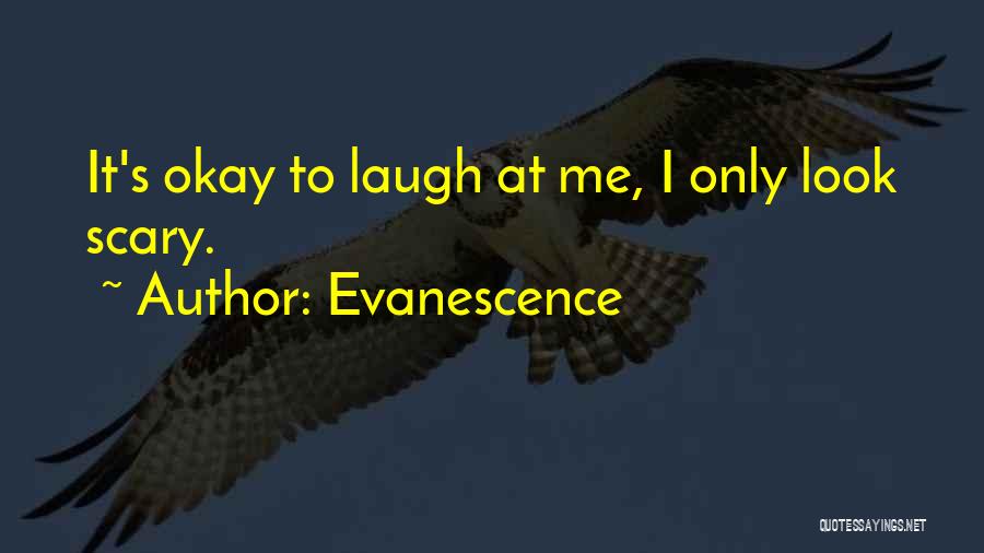 Evanescence Quotes: It's Okay To Laugh At Me, I Only Look Scary.