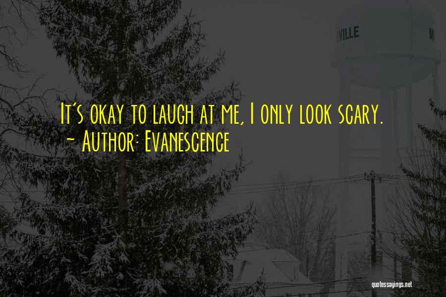 Evanescence Quotes: It's Okay To Laugh At Me, I Only Look Scary.