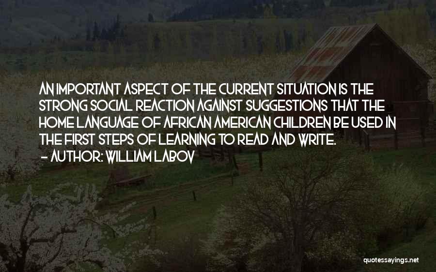 William Labov Quotes: An Important Aspect Of The Current Situation Is The Strong Social Reaction Against Suggestions That The Home Language Of African