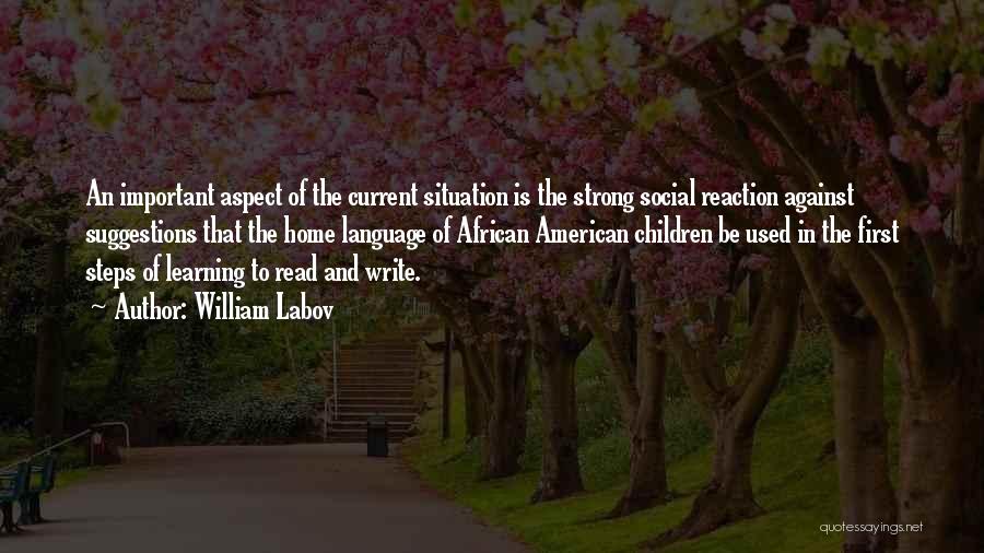 William Labov Quotes: An Important Aspect Of The Current Situation Is The Strong Social Reaction Against Suggestions That The Home Language Of African