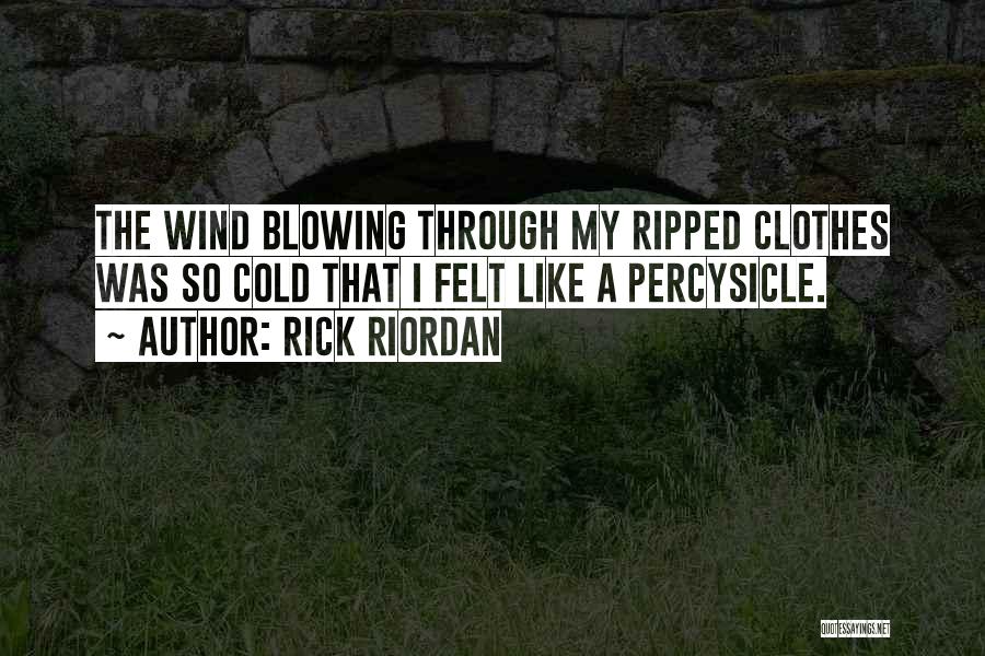 Rick Riordan Quotes: The Wind Blowing Through My Ripped Clothes Was So Cold That I Felt Like A Percysicle.
