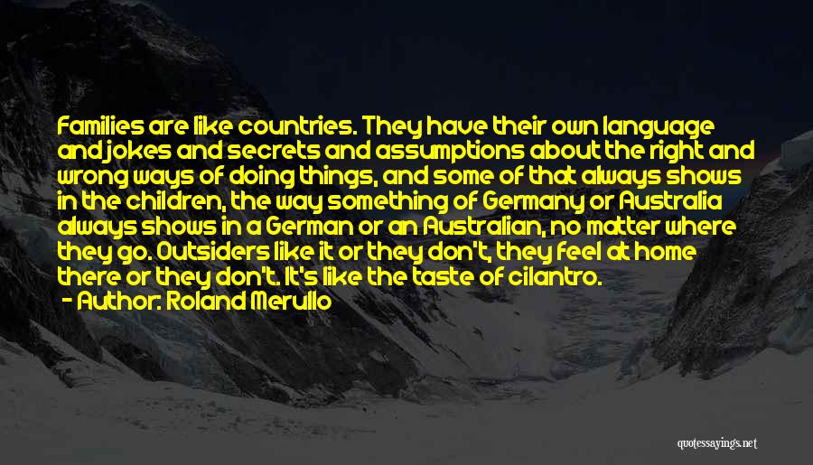 Roland Merullo Quotes: Families Are Like Countries. They Have Their Own Language And Jokes And Secrets And Assumptions About The Right And Wrong