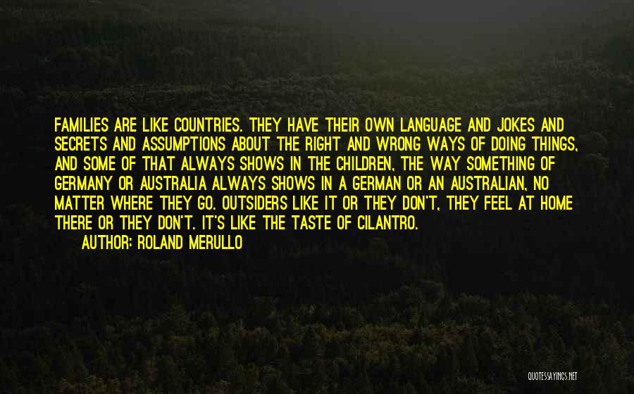Roland Merullo Quotes: Families Are Like Countries. They Have Their Own Language And Jokes And Secrets And Assumptions About The Right And Wrong