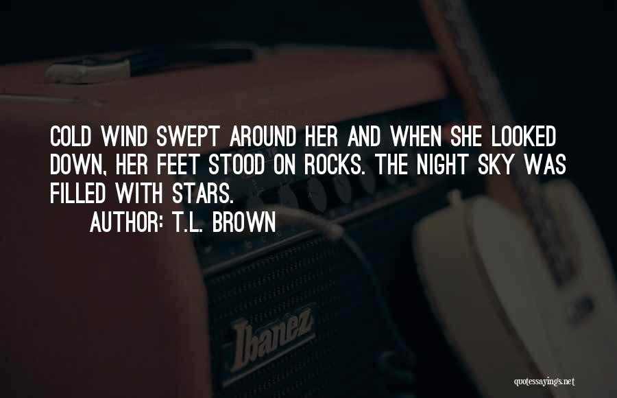 T.L. Brown Quotes: Cold Wind Swept Around Her And When She Looked Down, Her Feet Stood On Rocks. The Night Sky Was Filled