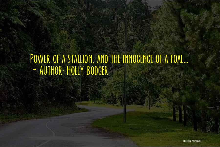 Holly Bodger Quotes: Power Of A Stallion, And The Innocence Of A Foal...
