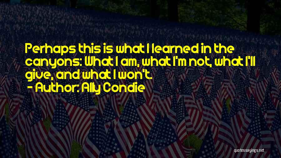 Ally Condie Quotes: Perhaps This Is What I Learned In The Canyons: What I Am, What I'm Not, What I'll Give, And What