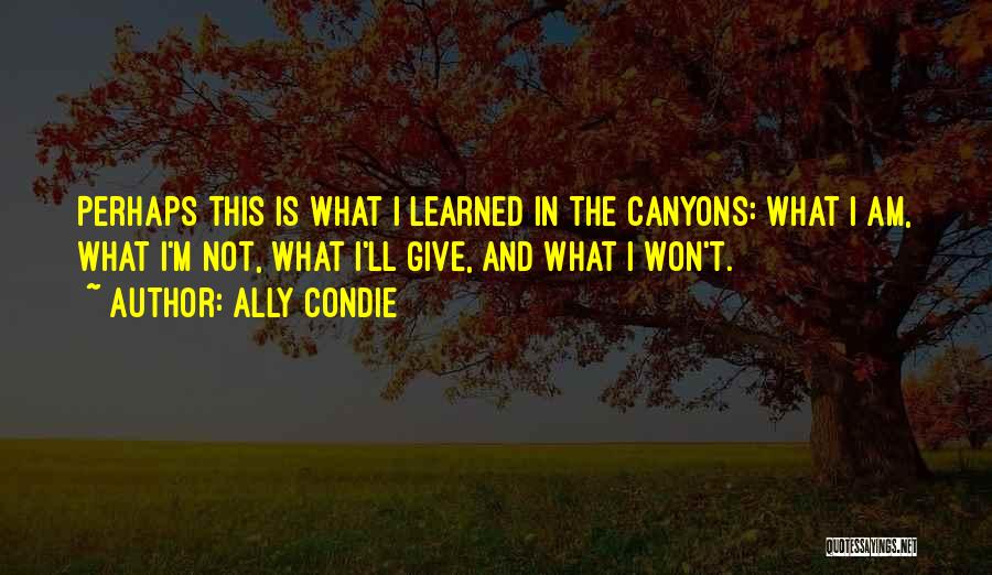 Ally Condie Quotes: Perhaps This Is What I Learned In The Canyons: What I Am, What I'm Not, What I'll Give, And What