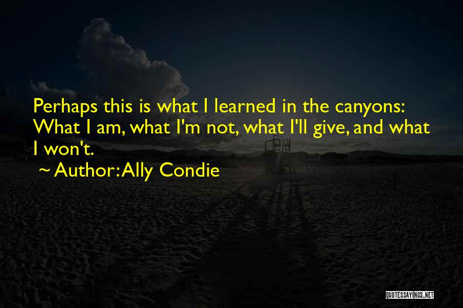 Ally Condie Quotes: Perhaps This Is What I Learned In The Canyons: What I Am, What I'm Not, What I'll Give, And What