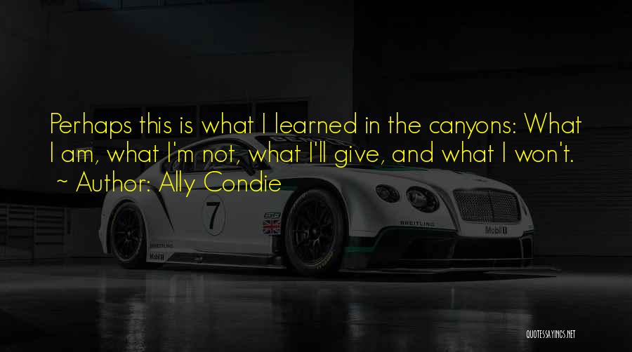 Ally Condie Quotes: Perhaps This Is What I Learned In The Canyons: What I Am, What I'm Not, What I'll Give, And What