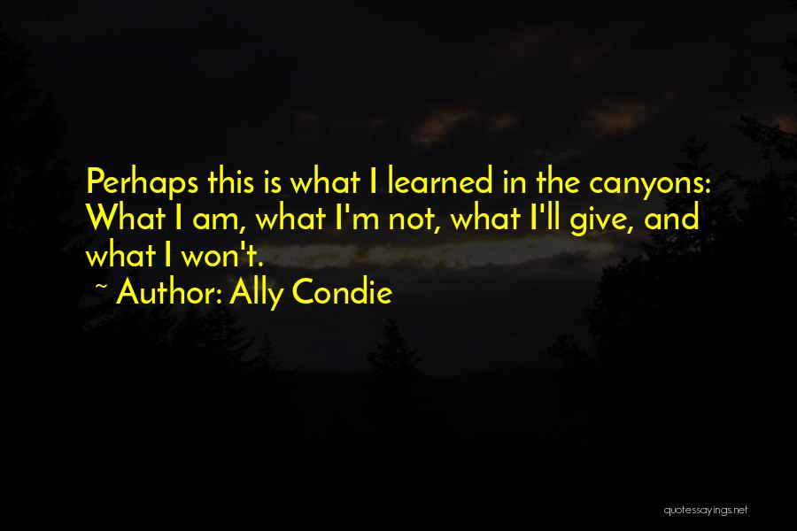 Ally Condie Quotes: Perhaps This Is What I Learned In The Canyons: What I Am, What I'm Not, What I'll Give, And What