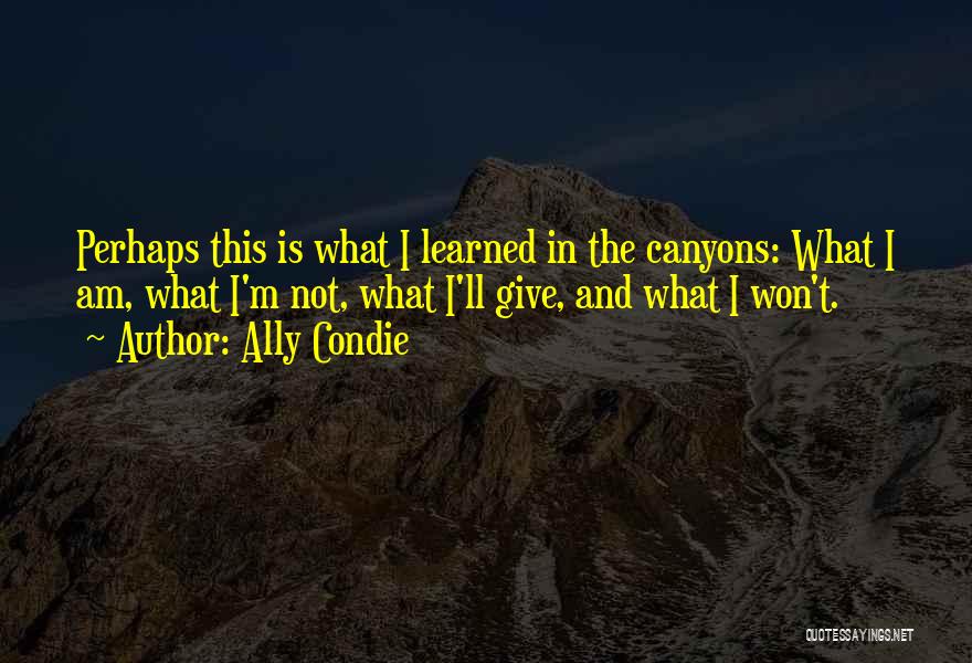 Ally Condie Quotes: Perhaps This Is What I Learned In The Canyons: What I Am, What I'm Not, What I'll Give, And What