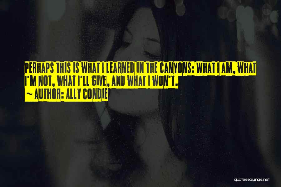 Ally Condie Quotes: Perhaps This Is What I Learned In The Canyons: What I Am, What I'm Not, What I'll Give, And What