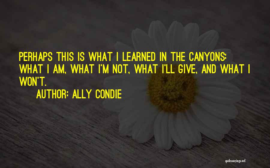 Ally Condie Quotes: Perhaps This Is What I Learned In The Canyons: What I Am, What I'm Not, What I'll Give, And What