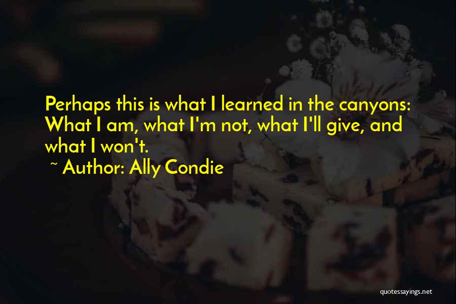 Ally Condie Quotes: Perhaps This Is What I Learned In The Canyons: What I Am, What I'm Not, What I'll Give, And What