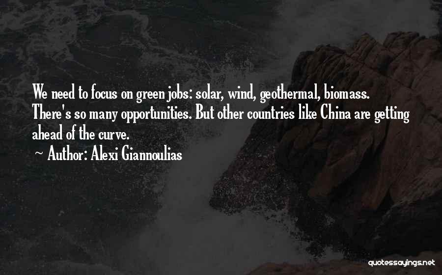 Alexi Giannoulias Quotes: We Need To Focus On Green Jobs: Solar, Wind, Geothermal, Biomass. There's So Many Opportunities. But Other Countries Like China