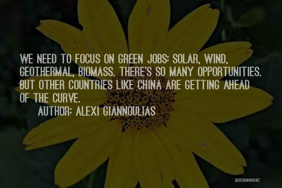 Alexi Giannoulias Quotes: We Need To Focus On Green Jobs: Solar, Wind, Geothermal, Biomass. There's So Many Opportunities. But Other Countries Like China