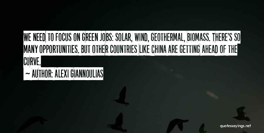 Alexi Giannoulias Quotes: We Need To Focus On Green Jobs: Solar, Wind, Geothermal, Biomass. There's So Many Opportunities. But Other Countries Like China