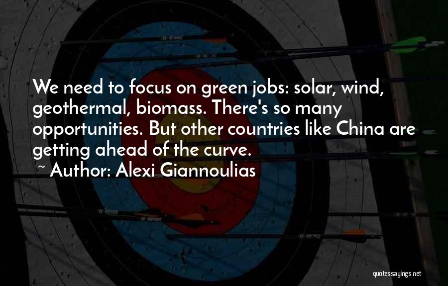Alexi Giannoulias Quotes: We Need To Focus On Green Jobs: Solar, Wind, Geothermal, Biomass. There's So Many Opportunities. But Other Countries Like China