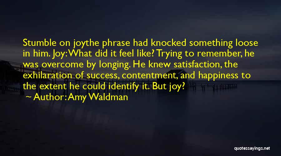 Amy Waldman Quotes: Stumble On Joythe Phrase Had Knocked Something Loose In Him. Joy: What Did It Feel Like? Trying To Remember, He