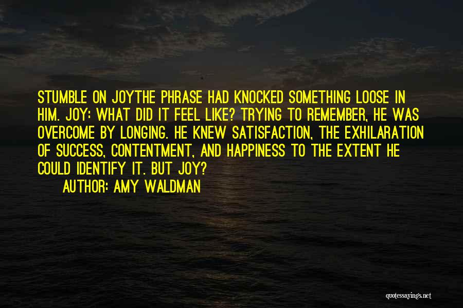 Amy Waldman Quotes: Stumble On Joythe Phrase Had Knocked Something Loose In Him. Joy: What Did It Feel Like? Trying To Remember, He