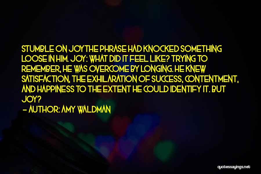 Amy Waldman Quotes: Stumble On Joythe Phrase Had Knocked Something Loose In Him. Joy: What Did It Feel Like? Trying To Remember, He