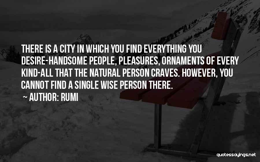 Rumi Quotes: There Is A City In Which You Find Everything You Desire-handsome People, Pleasures, Ornaments Of Every Kind-all That The Natural