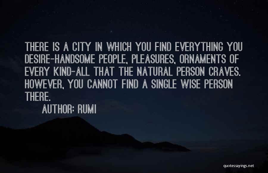 Rumi Quotes: There Is A City In Which You Find Everything You Desire-handsome People, Pleasures, Ornaments Of Every Kind-all That The Natural