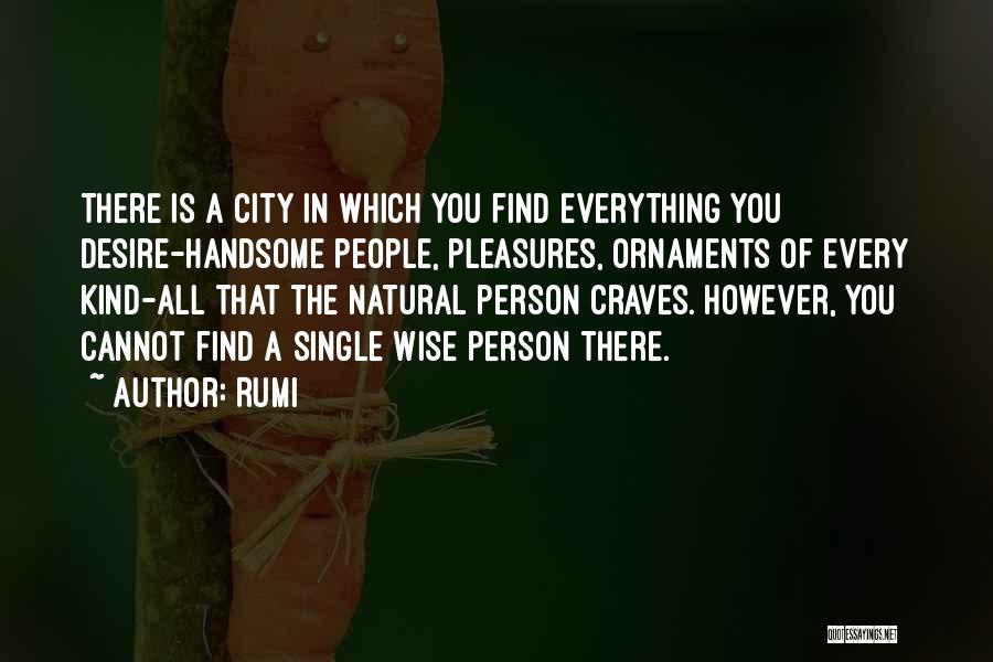 Rumi Quotes: There Is A City In Which You Find Everything You Desire-handsome People, Pleasures, Ornaments Of Every Kind-all That The Natural
